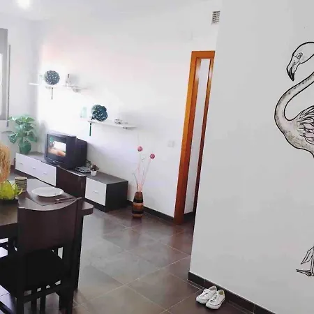 Apartamento En El Corazon Del Delta Sant Jaume d’Enveja Exterior foto